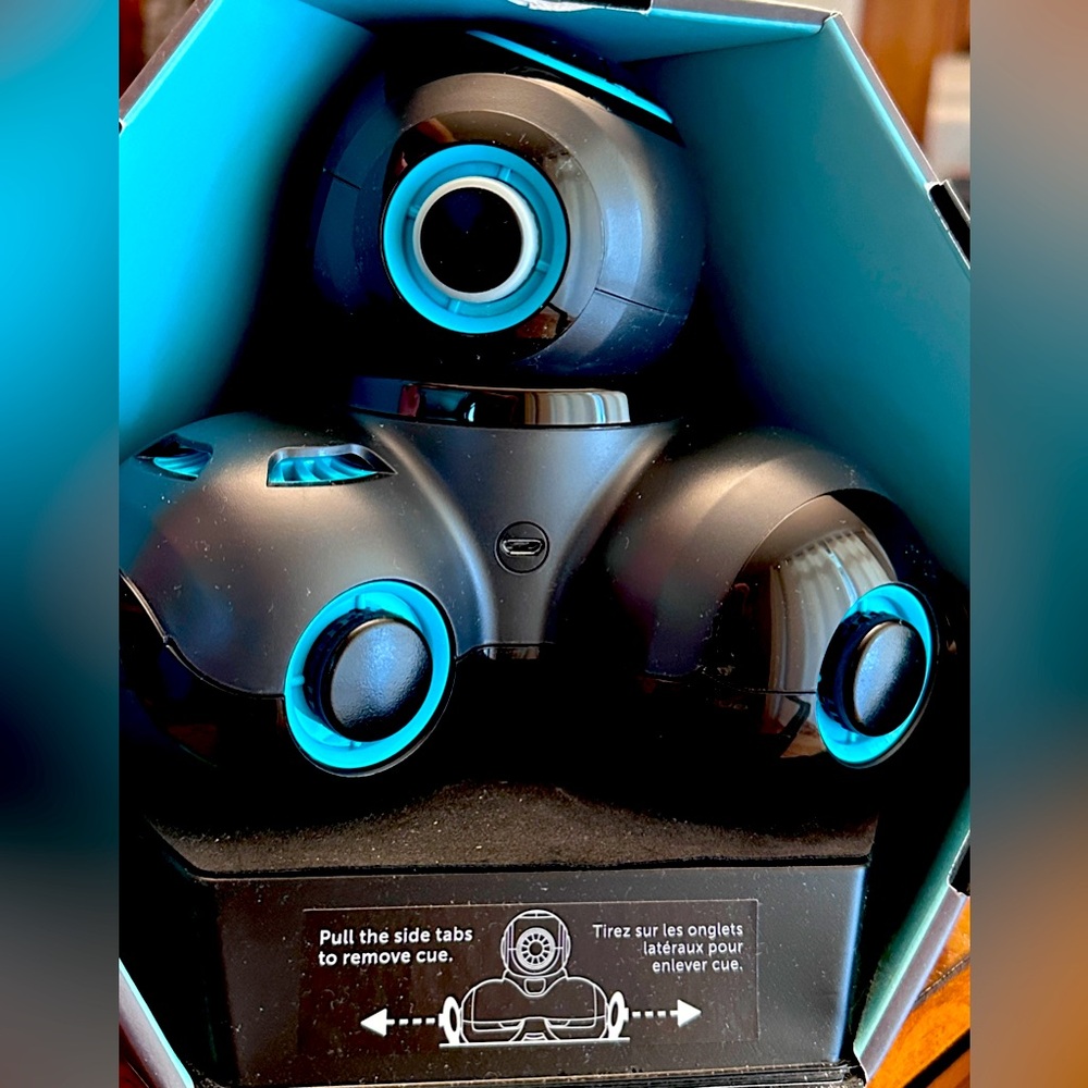 Wonder Workshop’s Cue: the CleverBot.
